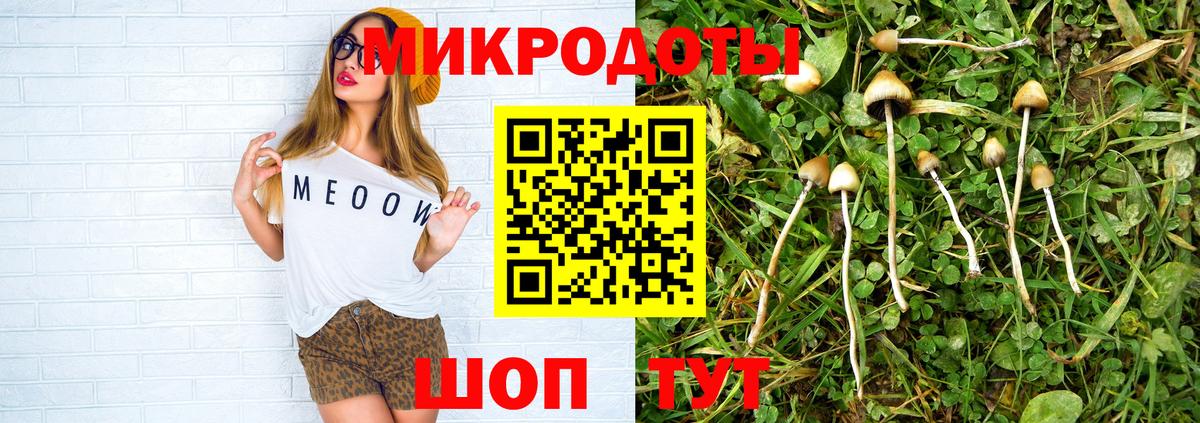 цены   Вход с VPN  Рязань  Псилоцибиновые грибы Psilocybe 